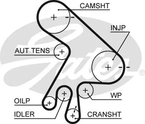 Timing belt kit - kit, +